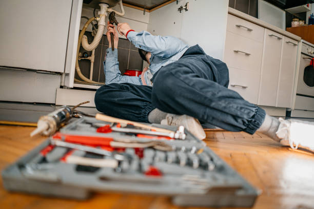 Best Drain Cleaning Services  in Litchfield, MI