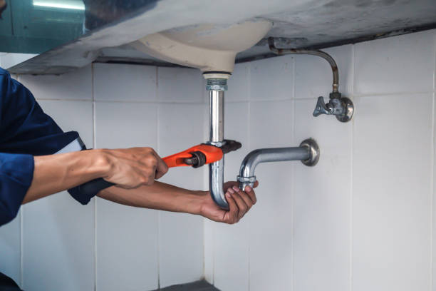 Best Sewer Cleaning Services  in Litchfield, MI