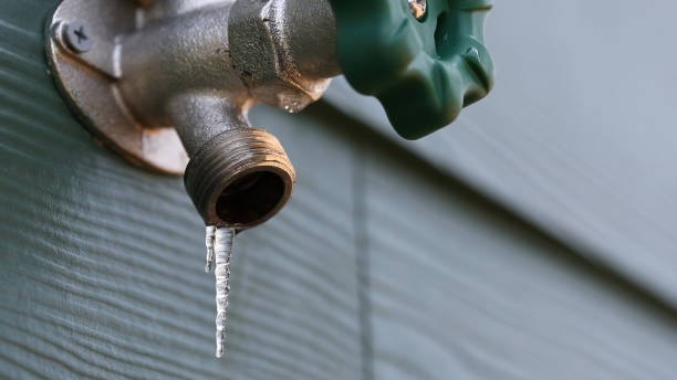 Best Faucet Repair  in Litchfield, MI