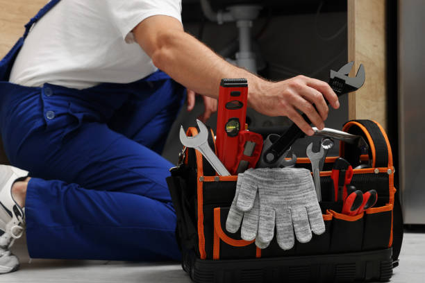 Best Toilet Repair Services  in Litchfield, MI