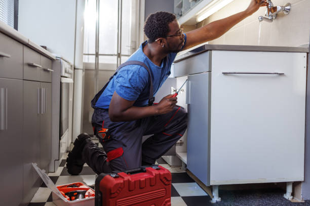 Best Faucet Repair  in Litchfield, MI
